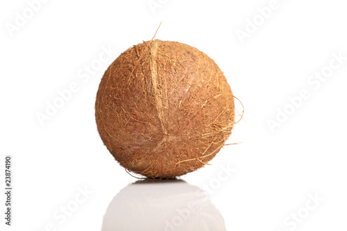 Isolated coconut
