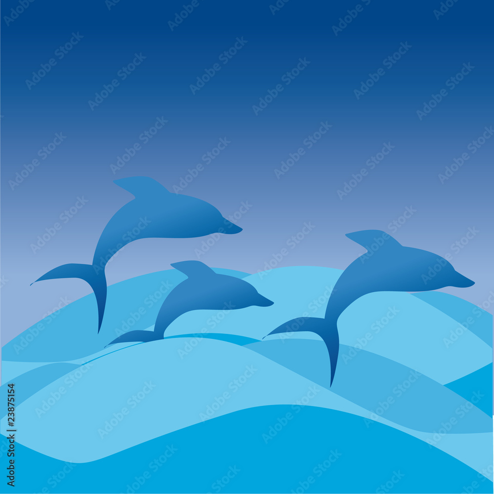 delfini delfini