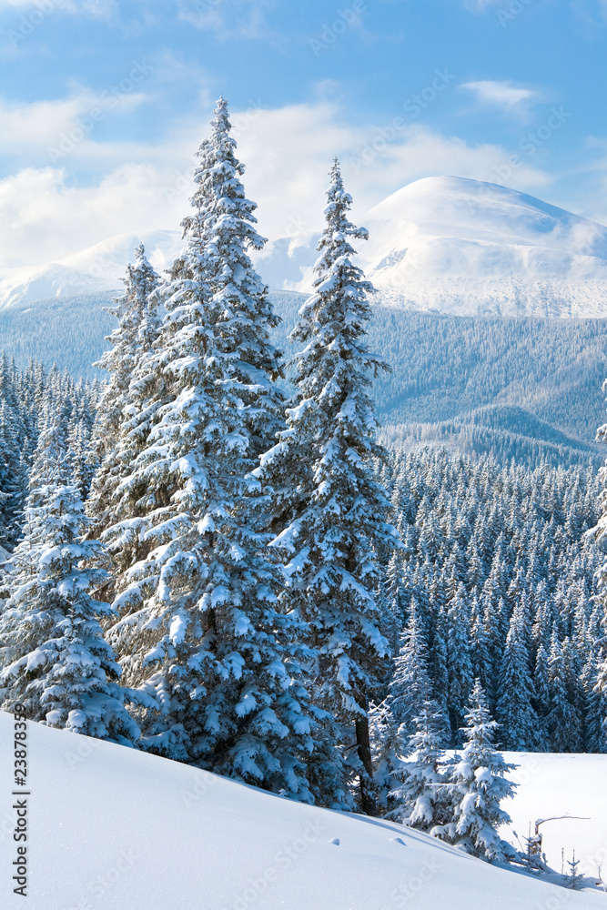 Fototapeta premium winter mountain landscape