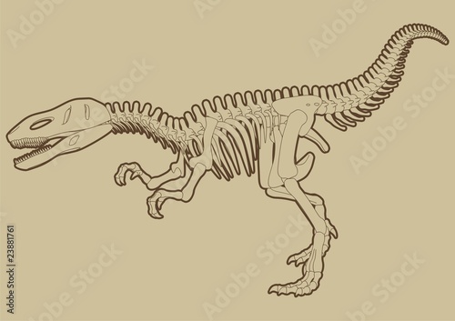 Highly detailed striding Tyrannosaur skeleton vector.