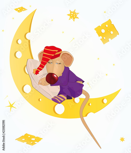 Sleeping mouse