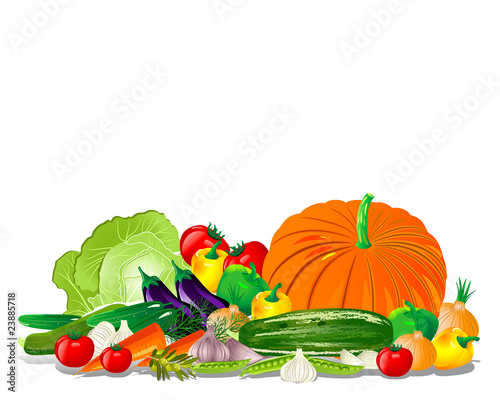 Vegetable harvest