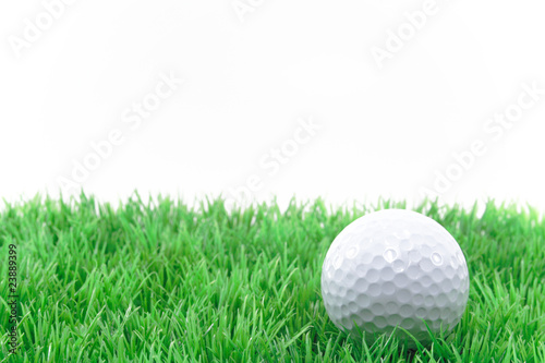 golfball im rasen