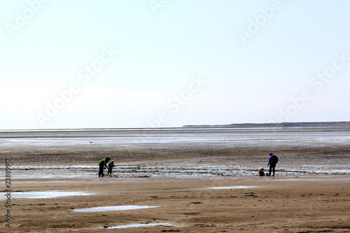 silhouettes on mudflat