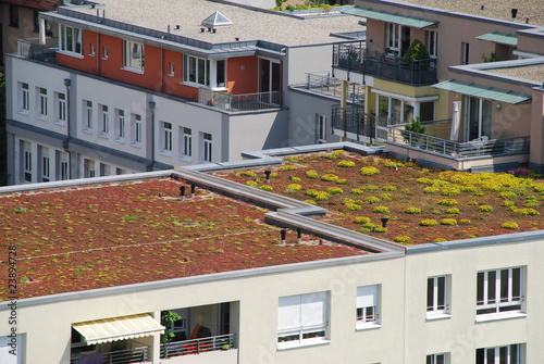 Begrünung Flachdach Flachdachbegrünung Wohnhaus