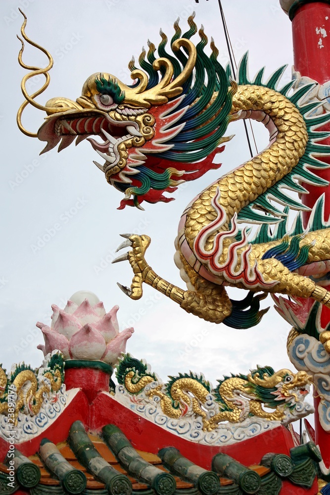 Fototapeta premium dragon
