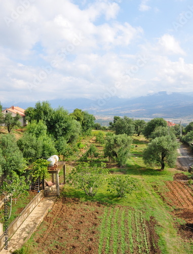 jardins de kabylie