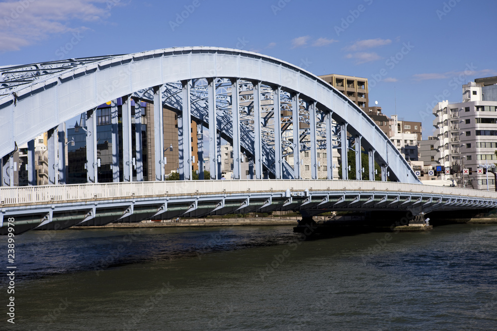 Obraz premium 東京 隅田川と永代橋