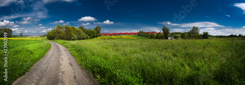 Green field with blue sky above panorama #23902919