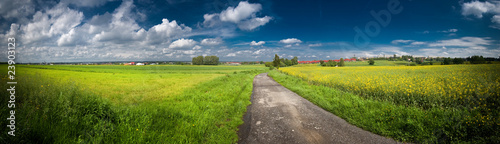 Green field with blue sky above panorama
