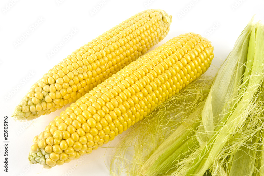 Maiskolben-5 Maiskolben-5