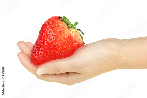 Super-big red strawberry in a hand