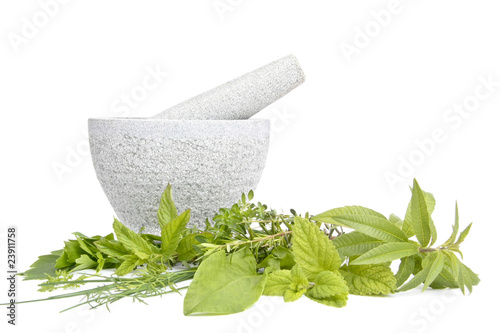 Different herbs and granite mortar, isolated photo