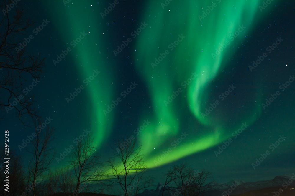 Northern Lights swirling in the night sky