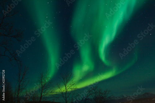 Northern Lights swirling in the night sky © jamenpercy
