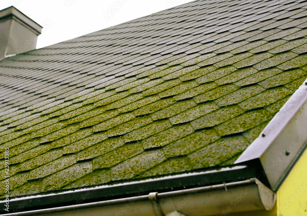 Obraz premium Roof tile