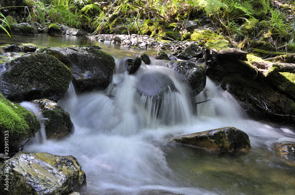 Riachuelo.