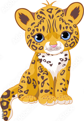 Cute Jaguar Cub
