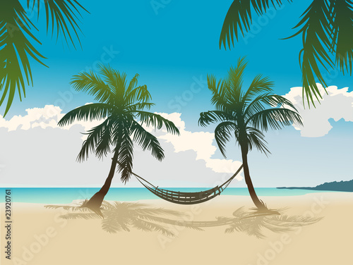 Tropical beach, coconut palms, hammock