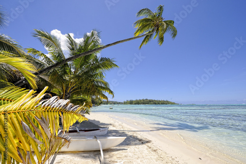 Dream beach in Papetoai, Moorea, French Polynesia