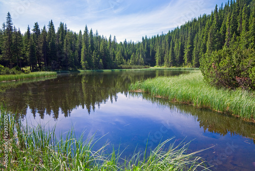 Summer mountain forest lake