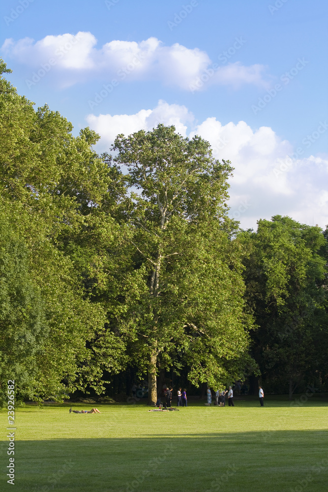 peoples chilling under a big tree in Margitsziget peoples chilling under a big tree in Margitsziget