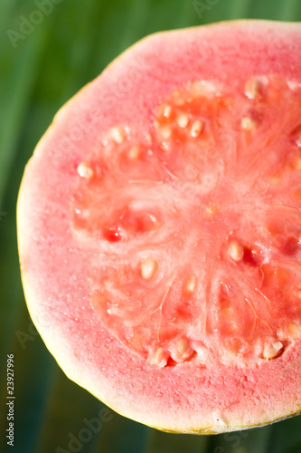Pink guava