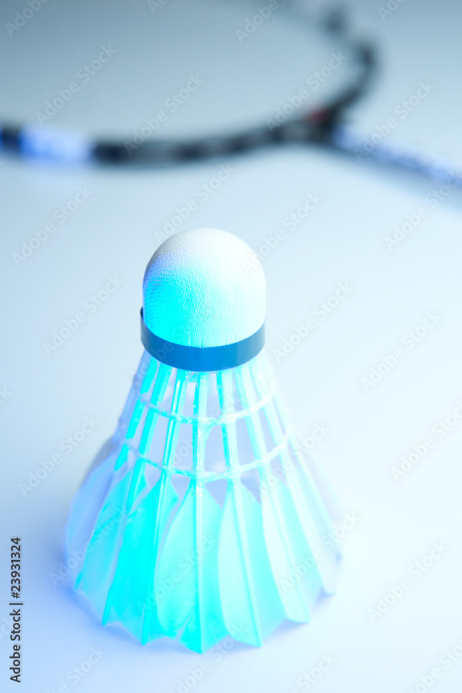Badminton shuttlecock on white.