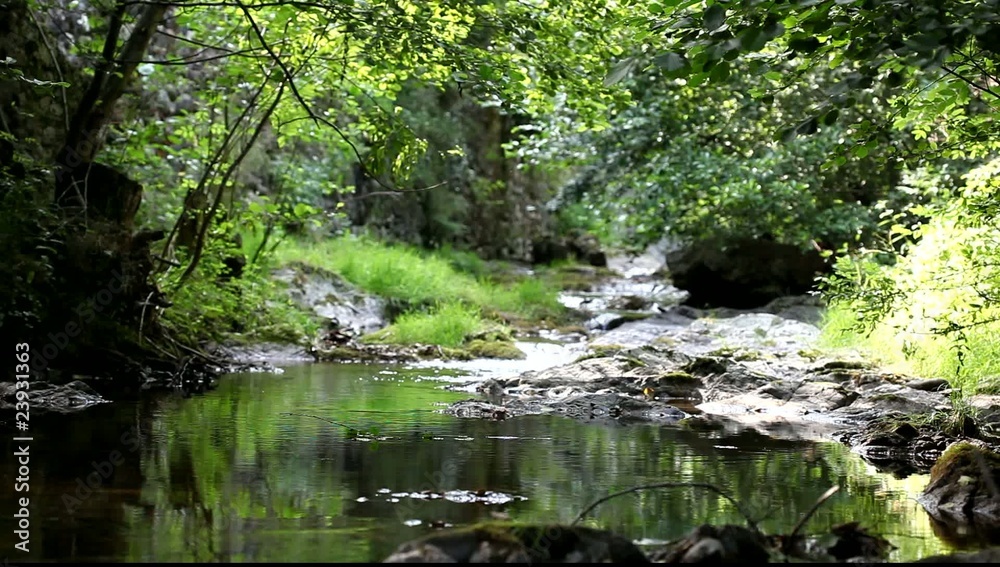 cours d'eau cours d'eau