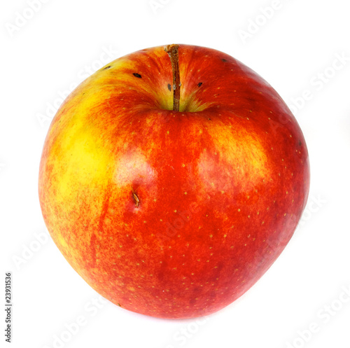 red apple on white background