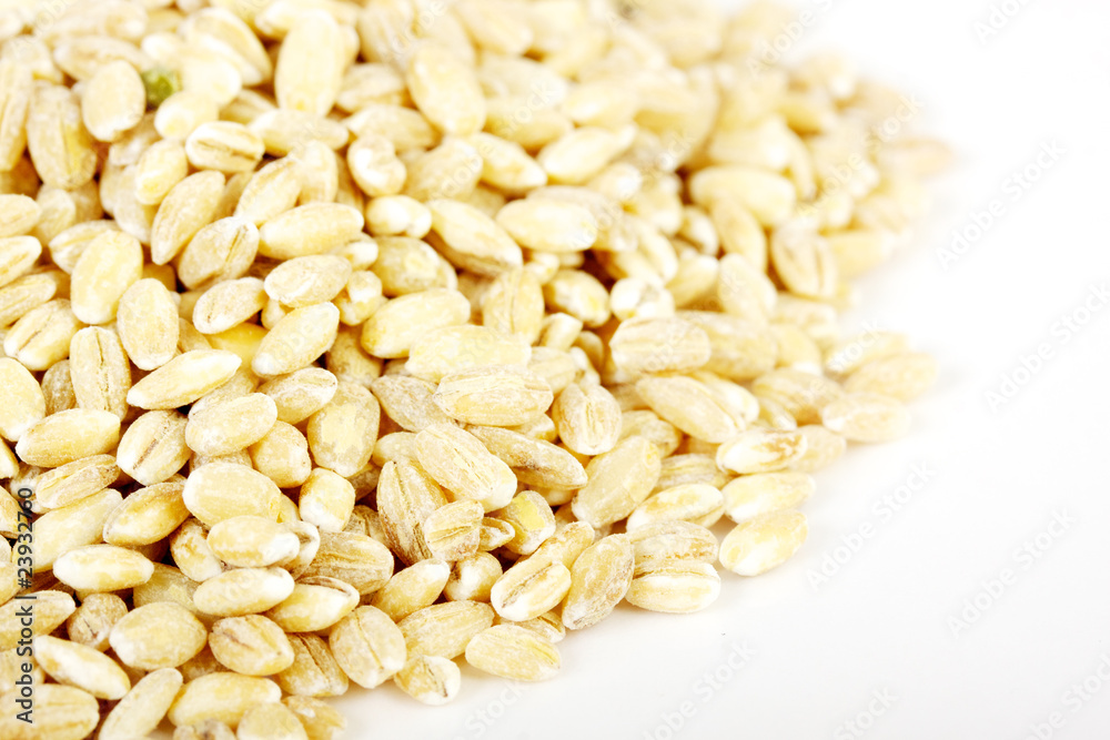 raw perl barley isolated raw perl barley isolated