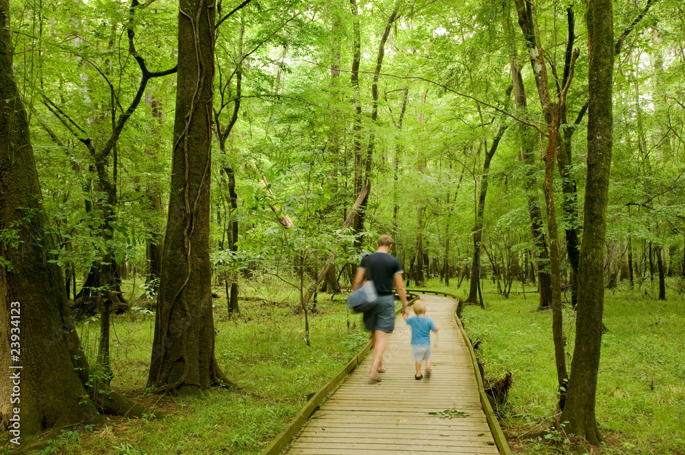Father and son walking the footpath of Congaree national park