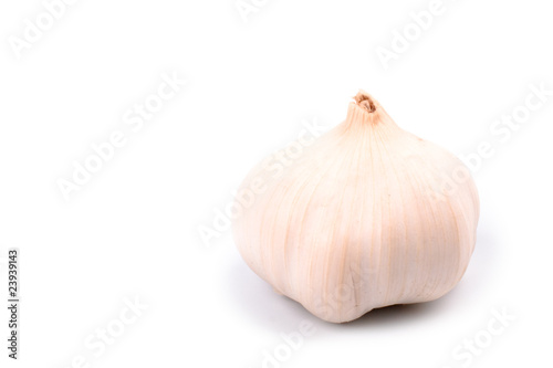 garlic