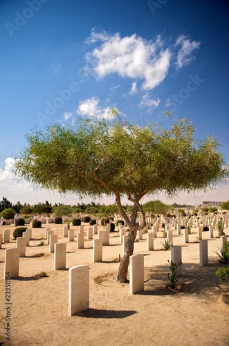 Commonwealth Cemetery in El Alamein, Egypt photo