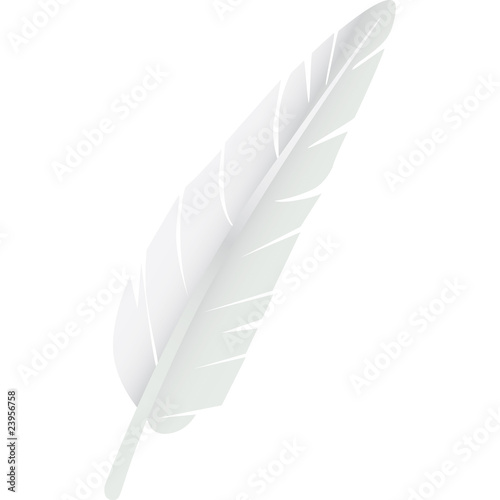piuma