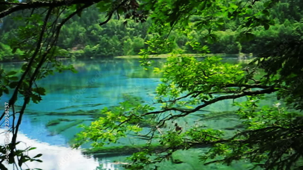 lake and forest, Jiuzhaigou Valley. lake and forest, Jiuzhaigou Valley.