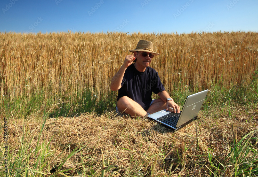 Feldarbeit Feldarbeit