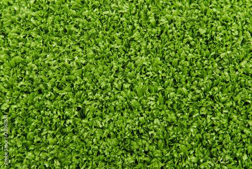 artificial  grass turf