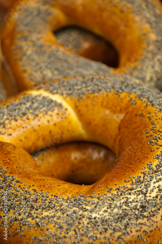 Freshly baked bagel with poppy seeds.