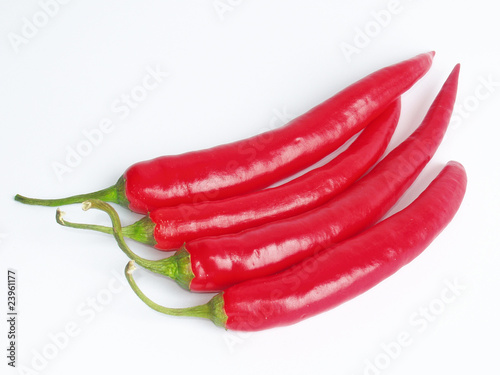 Four red hot chili peppers