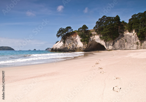 Cathedral Cove on the Coromandel Penninsula, New Zealand. photo