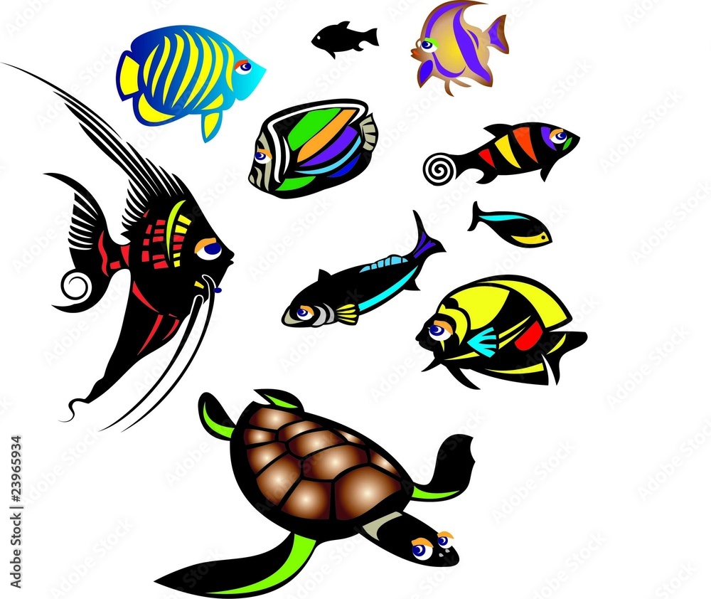 An aquarium with different kind of fishes and turtle An aquarium with different kind of fishes and turtle