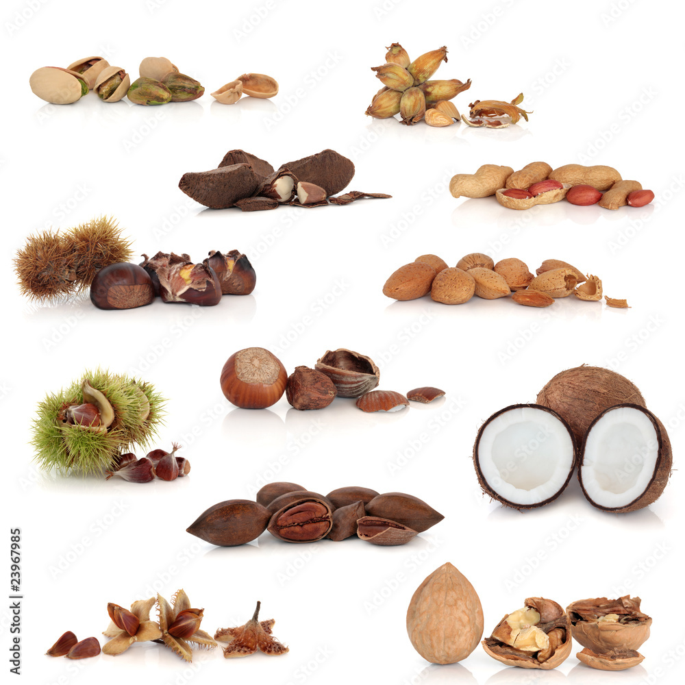 Obraz premium Nut Collection