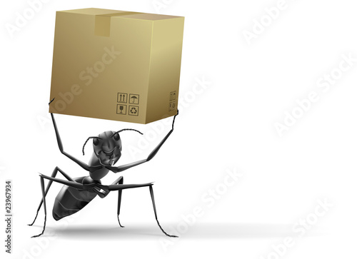 small ant lifting cardboard box