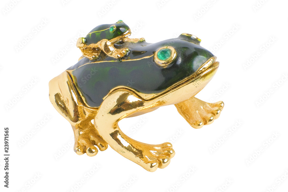 Frogs | Isolated Frogs | Isolated