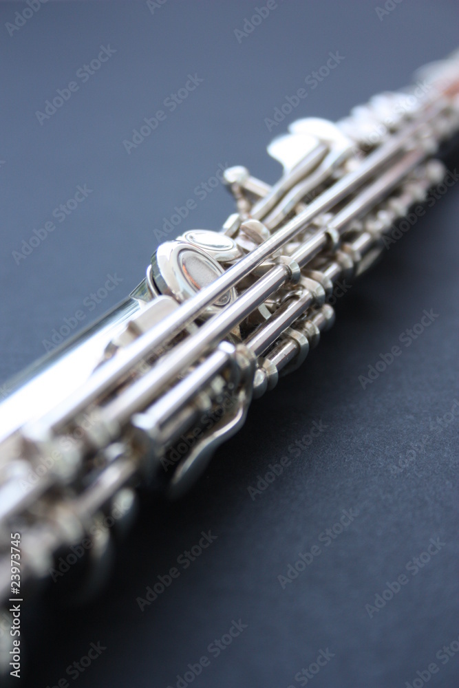 Fototapeta premium Flute Fascination