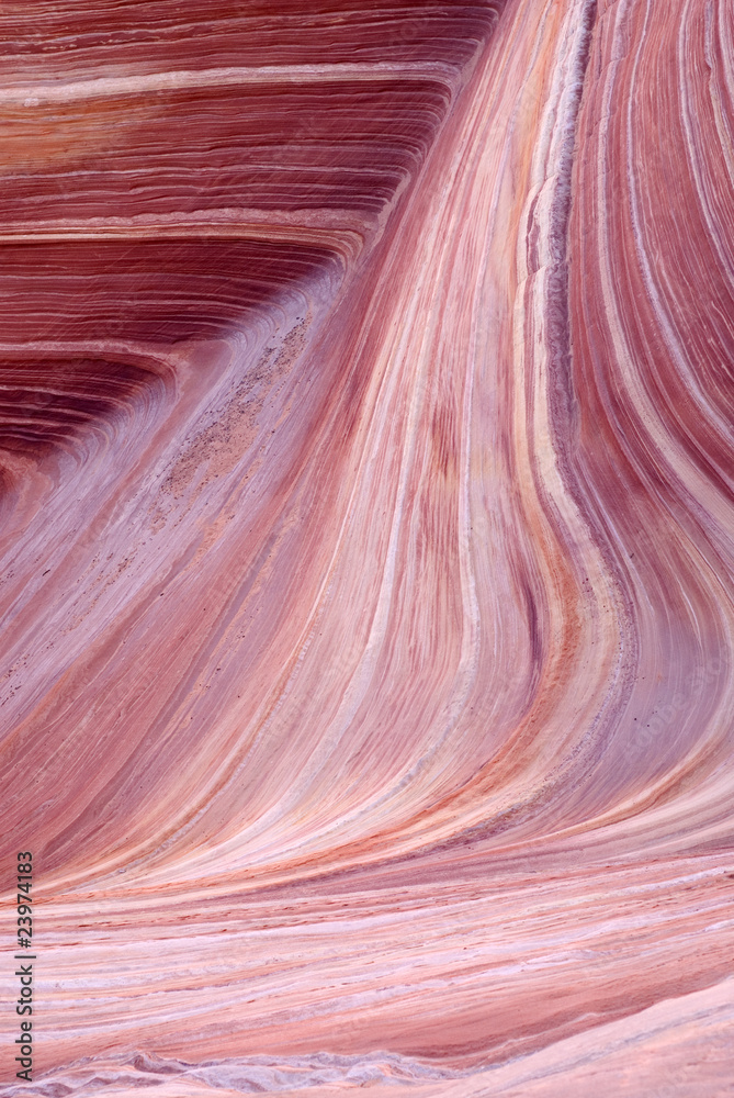 The Wave, Paria canyon The Wave, Paria canyon