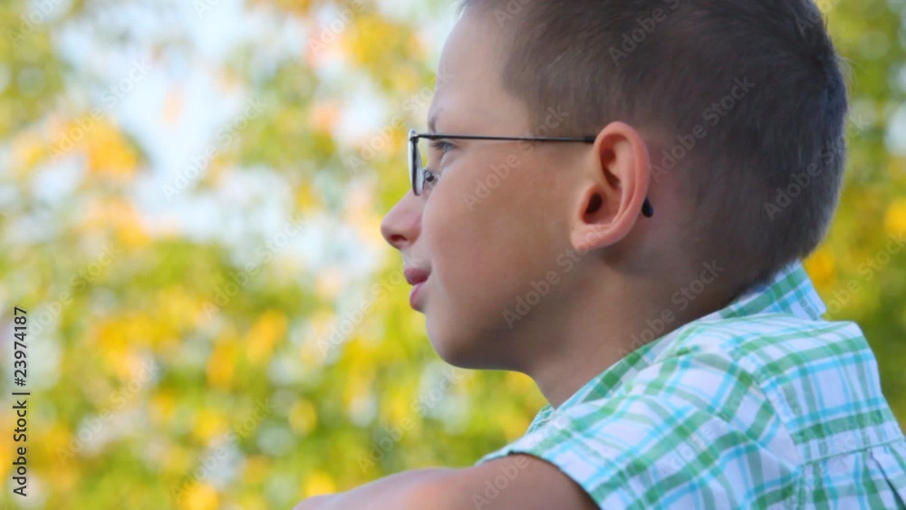 bespectacled boy looks at tree in park bespectacled boy looks at tree in park