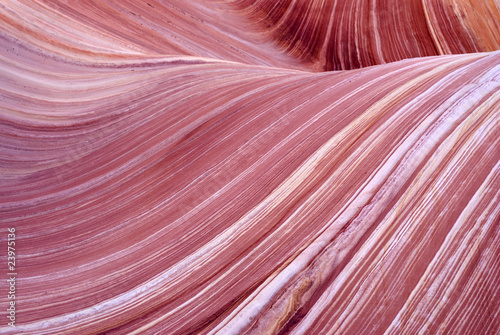 Canvas Print The Wave, Paria canyon