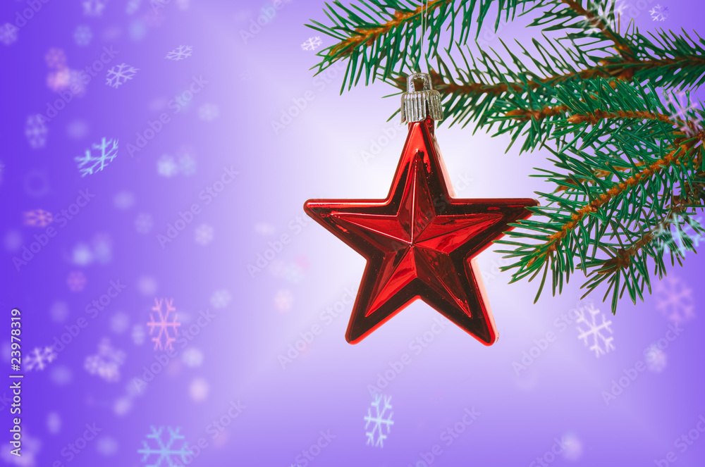 Christmas star Christmas star